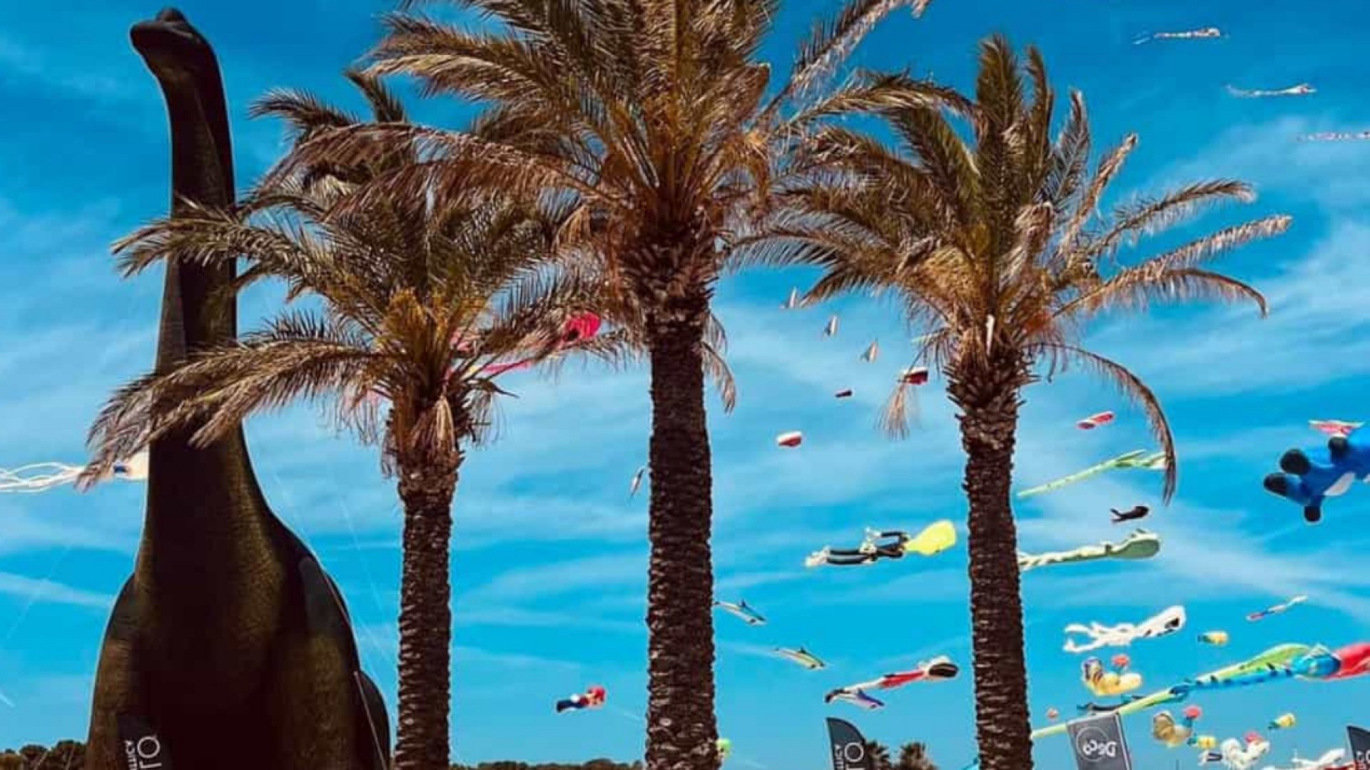 XV FESTIVAL INTERNAZIONALE DEGLI AQUILONI - Terra del Sole