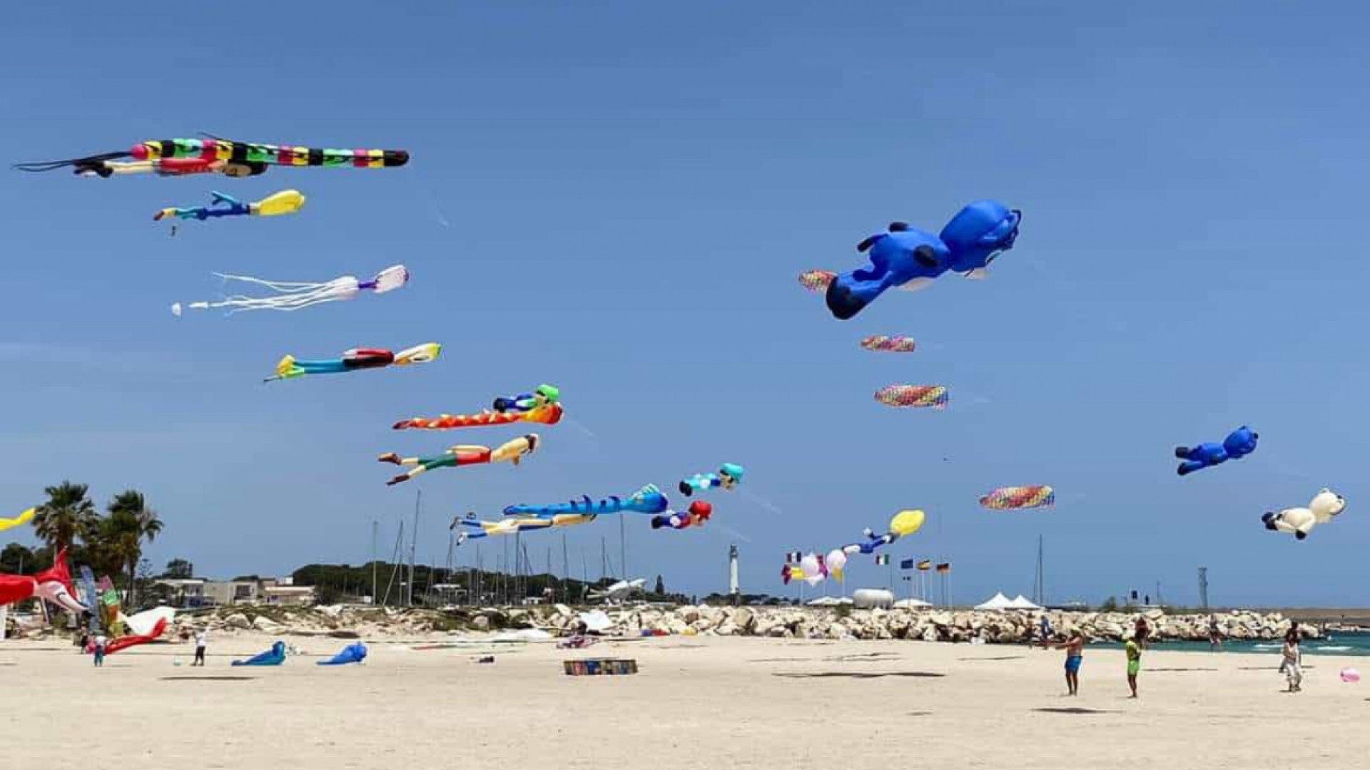 XV FESTIVAL INTERNAZIONALE DEGLI AQUILONI - Terra del Sole