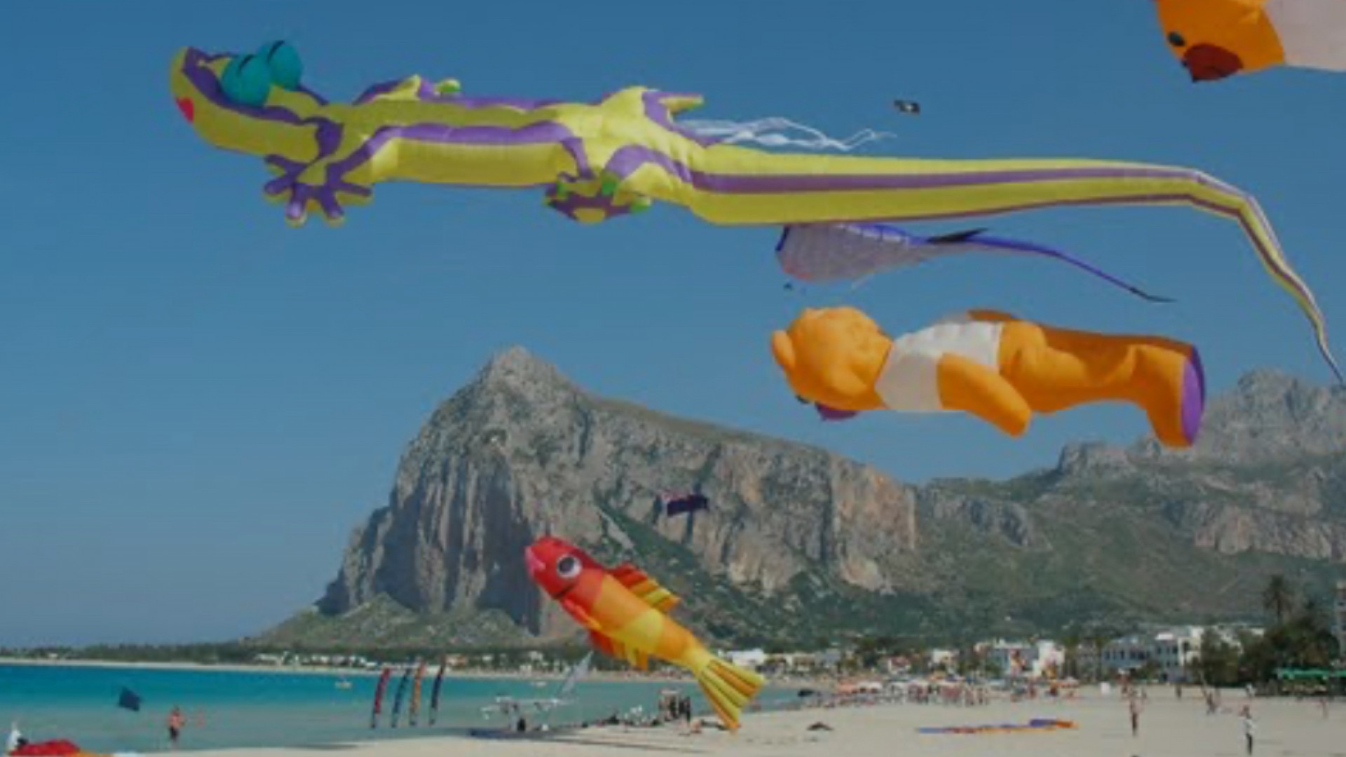 XV FESTIVAL INTERNAZIONALE DEGLI AQUILONI - Terra del Sole